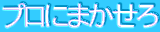 �v���ɂ܂�����
