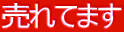 ����Ă܂�
